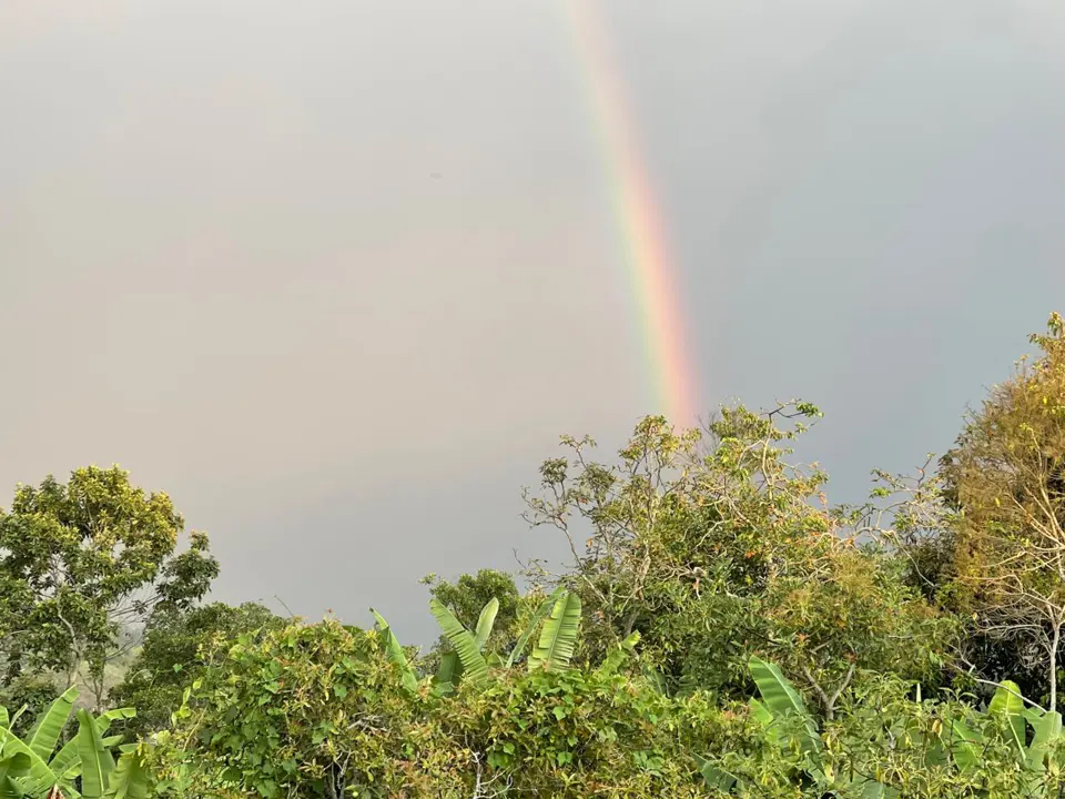 Un arcoíris aparece sobre el verde de la finca.
