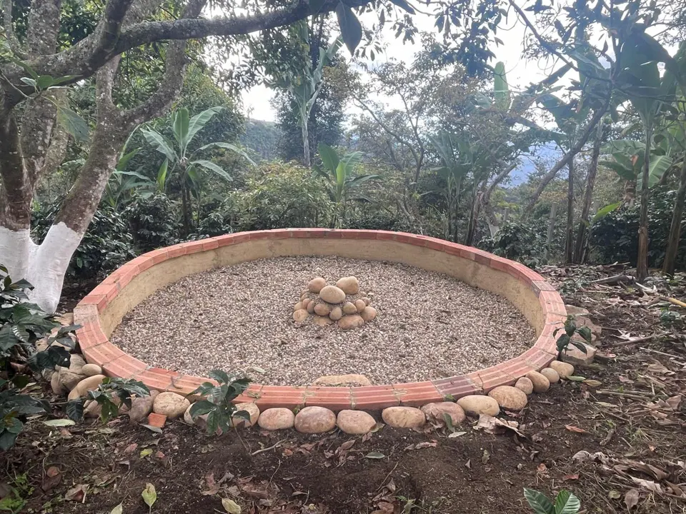 Un espacio circular de piedra en medio de la vegetación.