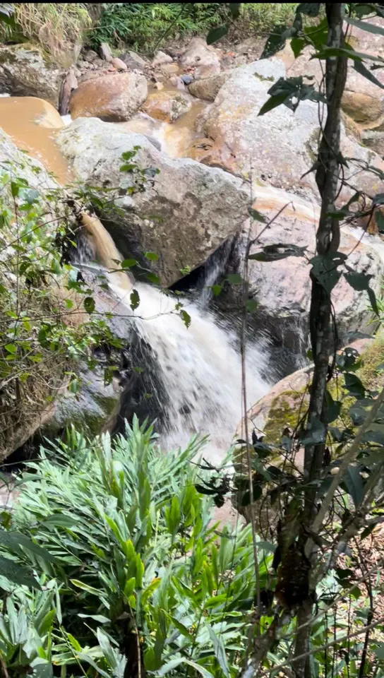 El agua desciende entre rocas y vegetación.