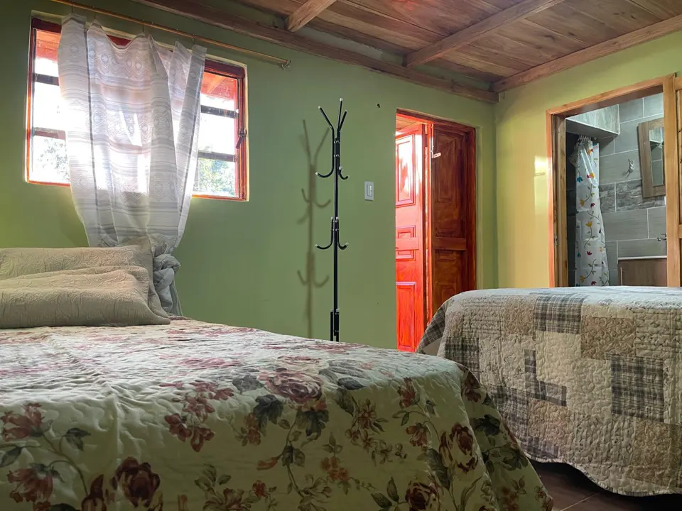 Camas, ventanas y techo de madera en una de las habitaciones.