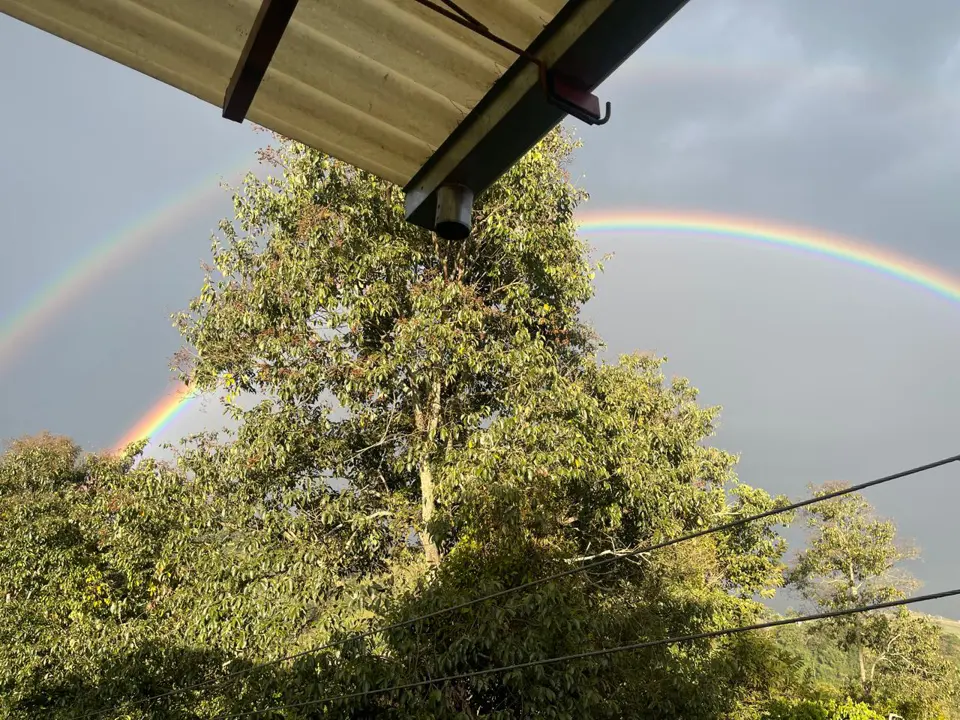 Un arcoíris enmarca la copa de un árbol junto a la casa.